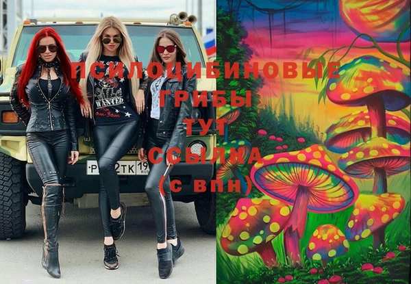 синтетический гашиш Горнозаводск