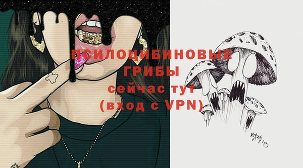 синтетический гашиш Горнозаводск