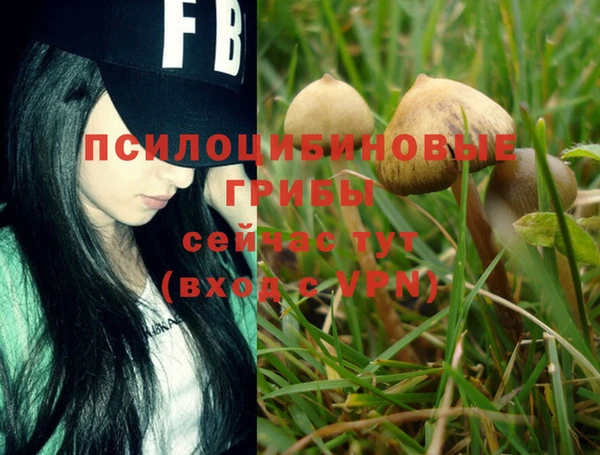 таблы Вязники