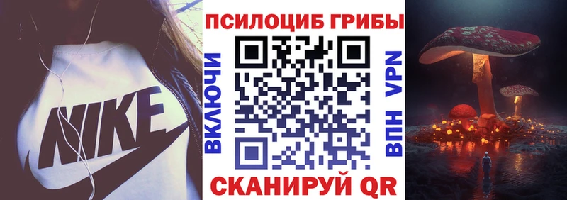 Галлюциногенные грибы Cubensis  Купить где  Кингисепп 